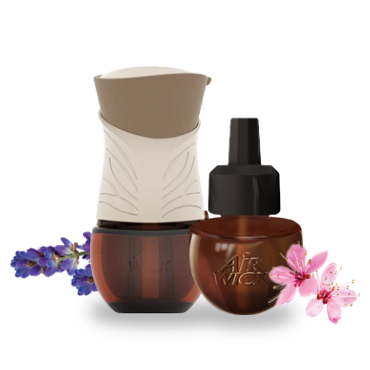 Air Wick Recharge d'huile parfumée à brancher Parfum de vie, Mom's Baking,  3 recharges, 57,3 g (l'emballage peut varier) : : Santé et Soins  personnels